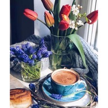 Emos avm Hobby Kahve Keyfi Sayılarla Boyama Seti  Rulo