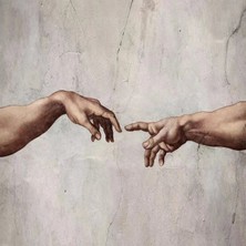 Emos avm Hobby Eller Sayılarla Boyama Seti  Rulo