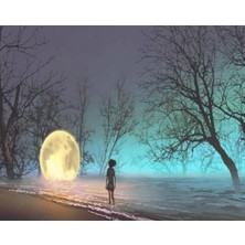 Emos avm Canvas Gecenin Rengi Sayılarla Boyama Seti   Kasnaklı