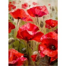 Emos avm Hobby Gelincik Tarlası Sayılarla Boyama Seti  Rulo