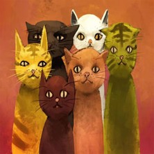 Emos avm Canvas Kedilerin Bakısı Sayılarla Boyama Seti   Kasnaklı