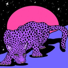 Emos avm Hobby Uzaydaki Leopar Sayılarla Boyama Seti  Rulo