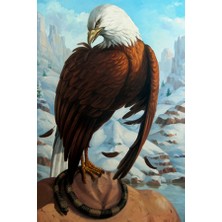 Emos avm Hobby Kartal Düşüncesi Sayılarla Boyama Seti  Rulo