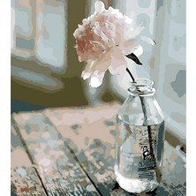 Emos avm Hobby Duru Çiçek 2 Sayılarla Boyama Seti  Rulo