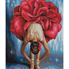 Emos avm Hobby Kırmızı Çiçekli Balerin Sayılarla Boyama Seti  Rulo