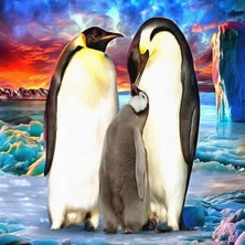 Emos avm Hobby Penguen Ailesi Sayılarla Boyama Seti  Rulo