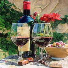 Emos avm Hobby Şarap Keyfi Sayılarla Boyama Seti   Rulo