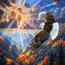 Emos avm Canvas Kartal Sayılarla Boyama Seti  Kasnaklı