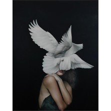 Emos avm Hobby Özgür Ruhlu Kadın Sayılarla Boyama Seti  Rulo