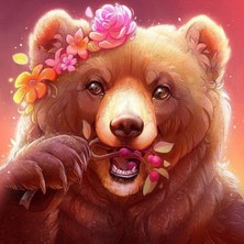 Emos avm Hobby Güzel Ayı Sayılarla Boyama Seti  Rulo