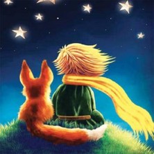 Emos avm Hobby Küçük Prens 2 Sayılarla Boyama Seti   Rulo