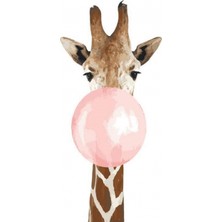 Emos avm Hobby Pembe Sakız ve Zürafa Sayılarla Boyama Seti  Rulo