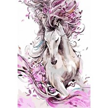 Emos avm Hobby Masal ve At Sayılarla Boyama Seti  Rulo