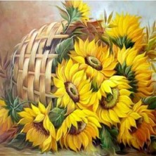 Emos avm Hobby Sepette Çiçek Sayılarla Boyama Seti   Rulo