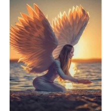 Emos avm Hobby Kanatlı Kadın Sayılarla Boyama Seti  Rulo