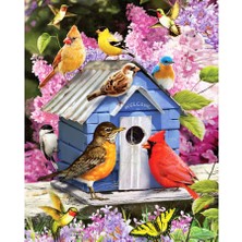 Emos avm Hobby Kuşların Evi Sayılarla Boyama Seti  Rulo