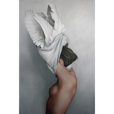 Emos avm Canvas Soyunmak Sayılarla Boyama Seti  Kasnaklı