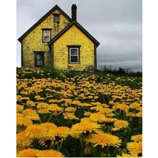 Emos avm Hobby Çiçek Tarlasındaki Sarı Ev Sayılarla Boyama Seti   Rulo