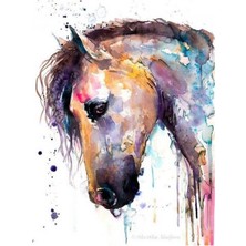 Emos avm Hobby Renkli At Renkli Sayılarla Boyama Seti  Rulo