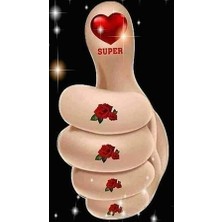 Emos avm Hobby Süper El Sayılarla Boyama Seti  Rulo