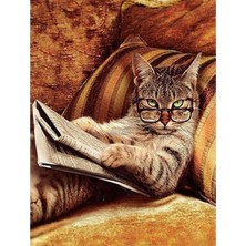 Emos avm Hobby Keyfekeder Kedi Sayılarla Boyama Seti  Rulo