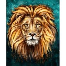 Emos avm Hobby Tek Aslan Sayılarla Boyama Seti  Rulo