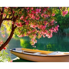 Emos avm Hobby Göldeki Sandal Sayılarla Boyama Seti  Rulo