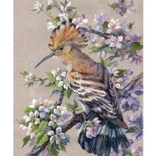 Emos avm Hobby Bahar ve Kuş Sayılarla Boyama Seti  Rulo