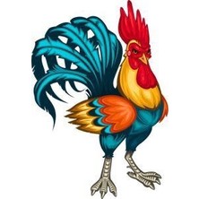 Emos avm Hobby Horoz Sayılarla Boyama Seti Rulo