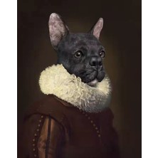 Emos avm Hobby Asil Köpek Sayılarla Boyama Seti   Rulo