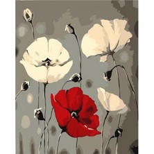 Emos avm Hobby Beyaz ve Kırmızı Gelincik Sayılarla Boyama Seti  Rulo