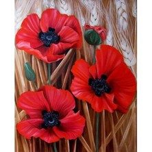 Emos avm Hobby Başak ve Gelincik Renkli Sayılarla Boyama Seti  Rulo