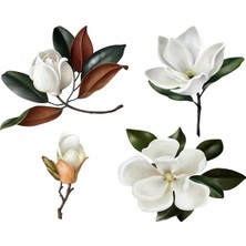 Emos avm Hobby Sade Çiçekler 6 Sayılarla Boyama Seti  Rulo