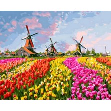 Emos avm Hobby Renkli Laleler ve Yeldeğirmenleri Sayılarla Boyama Seti   Rulo