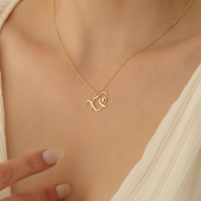 Nox Jewelry 925 Ayar Gümüş Kalp Detaylı Harf Kolye