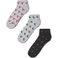 Katia & Bony Erkek Hayvan Desenli 3'lü Patik Çorap