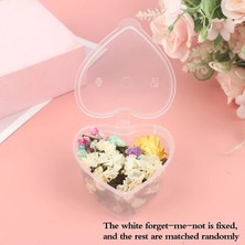 Mingjing Shop3 A2 Stili Mix Güzel Gerçek Kurutulmuş Çiçekler Sanat Zanaat Scrapbooking Mum Için Doğal Çiçek El Yapımı Mum Için Harika Dekorasyon (Yurt Dışından)