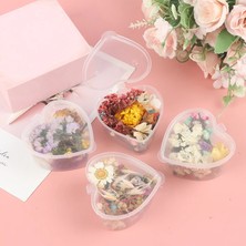 Mingjing Shop3 A2 Stili Mix Güzel Gerçek Kurutulmuş Çiçekler Sanat Zanaat Scrapbooking Mum Için Doğal Çiçek El Yapımı Mum Için Harika Dekorasyon (Yurt Dışından)