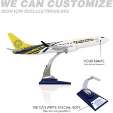 Zekupp Boeing 737-800 1/100 Ölçek Fenerbahçe Lisanslı Tasarım Maket Uçak