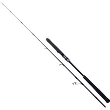 Ryuji Seawolf 1.98M 150-250GR 2p Jig Olta Kamisi