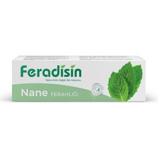 Feradisin Diş Macunu Nane Ferahlığı (75 ml)