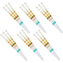 Blueleskyy 100 Strip Idrar Test Stripi 10 Parametre (Yurt Dışından)