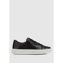 ProvoQ Siyah Deri Erkek Sneaker