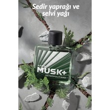 Avon Musk Metropolitano Erkek Parfüm ve Rollon Paketi