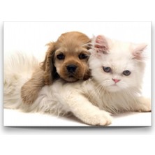 I Am Art Cam Tablo, Dekoratif Baskı Kedi ve Köpek Yatay Cam Tablo