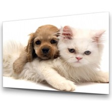 I Am Art Cam Tablo, Dekoratif Baskı Kedi ve Köpek Yatay Cam Tablo