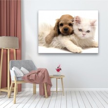 I Am Art Cam Tablo, Dekoratif Baskı Kedi ve Köpek Yatay Cam Tablo