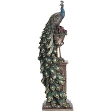 Acousticworld Wıse Vazo Üstünde Tavuskuşu