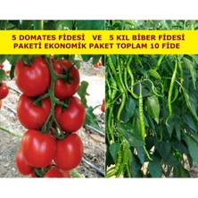 Bitkim Sende Domates Fidesi ve Kıl Biber Fidesi Karışık Paket 5 Domates 5 Kıl Biber Toplam 10 Fide Çitil Ekonomik