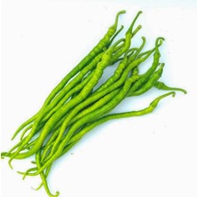 Serada Decor Plant Bol Dökümlü Acı Kıl Biber Fidesi-5 Adet